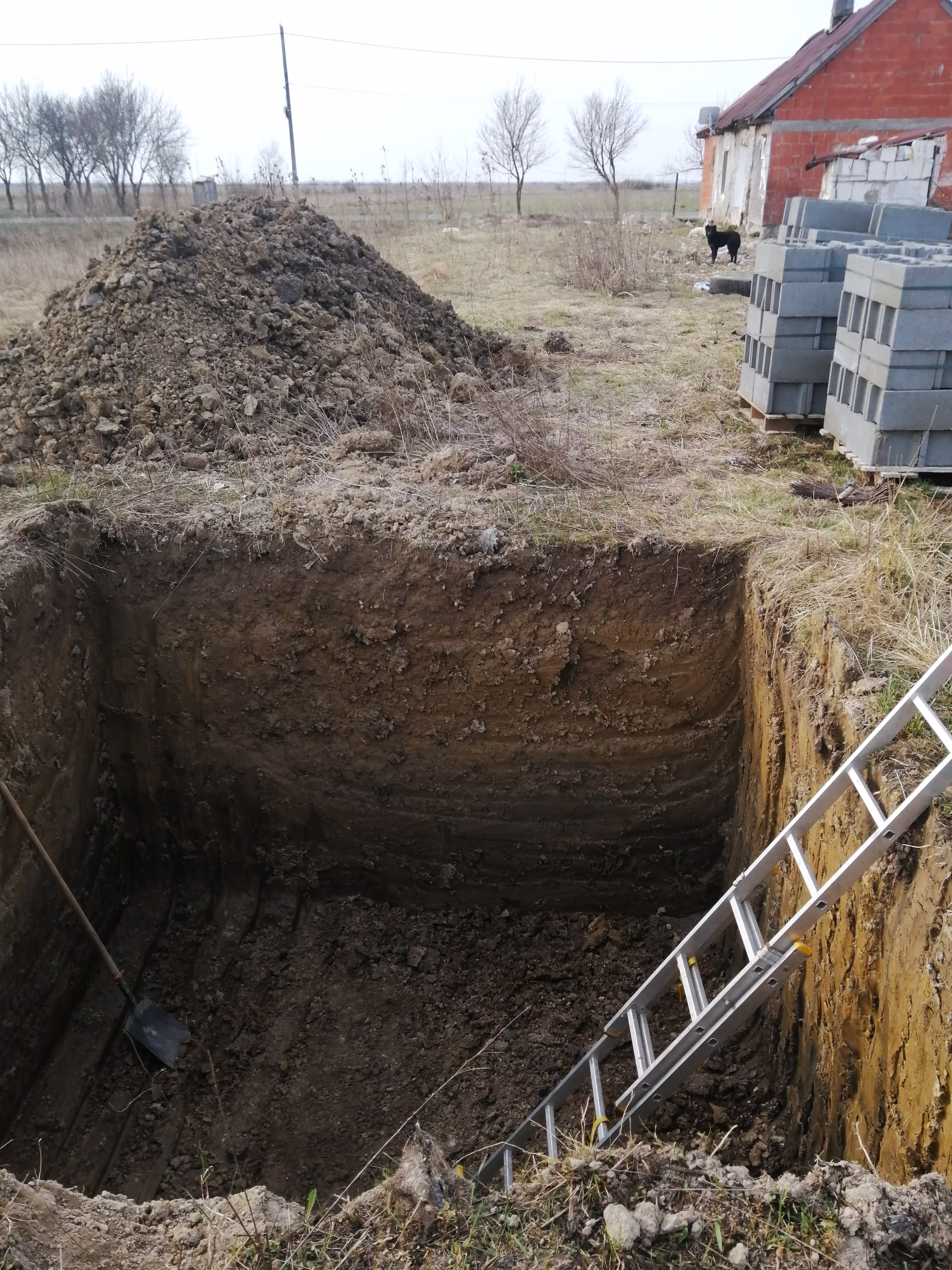 A large, deep excavation site with a steep dirt wall and a metal ladder leaning against the side for access.